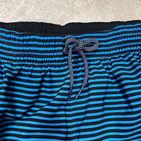 NWT Nike Volley Horizon Stripe Mens Swim Suit Shorts Trunks M - Picture 5 of 7